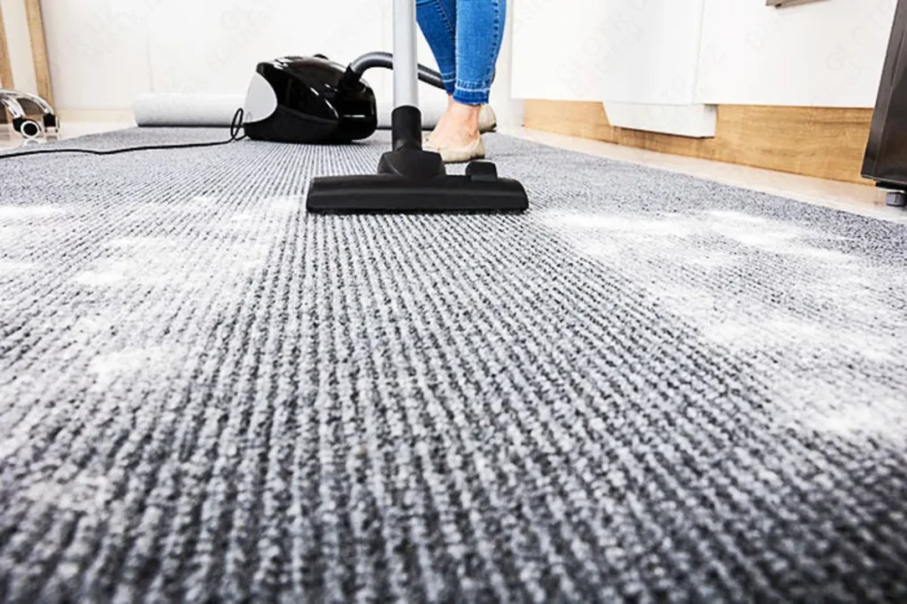rug Cleaning